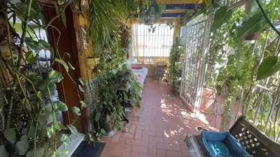 Chalet in Formentera del Segura photo 34