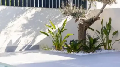 Chalet in Algorfa photo 33