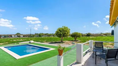 Chalet in Los Montesinos photo 4