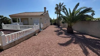 Chalet in Algorfa photo 30