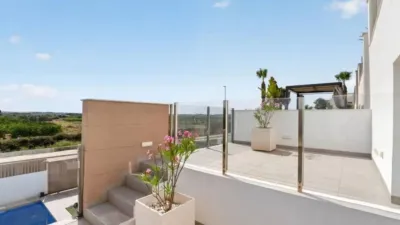 Chalet in Guardamar del Segura photo 31