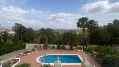 Chalet in Algorfa photo 21