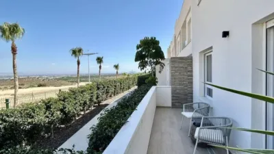 Apartment in Algorfa photo 40