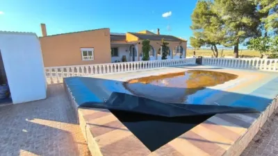 Rustic house in Yecla photo 4