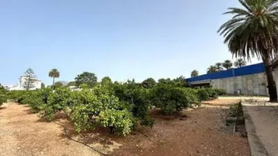 Chalet in Ondara photo 35