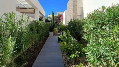 Chalet in Algorfa photo 41