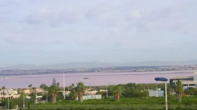 Casa – Torrevieja, Residencial Vistaferris, Urbanización La Ceñuela - Vista 4