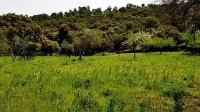Rustic house in La Nava photo 25