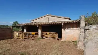 Rustic house in Algaida photo 32