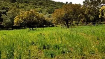 Rustic house in La Nava photo 41