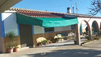 Rustic house in Bullas photo 16