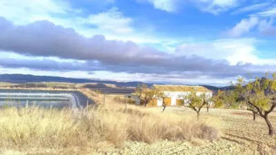 Rustic House in Yecla photo 9