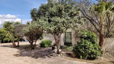 Rustic house in Murcia Capital photo 6