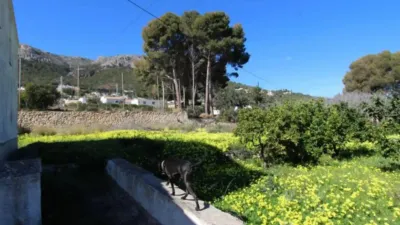 Chalet in Calpe - Calp photo 7