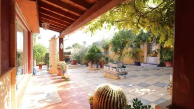 Chalet en Algorfa photo 46