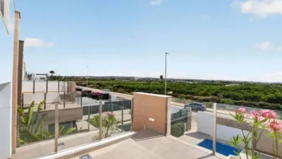 Chalet in Guardamar del Segura photo 32