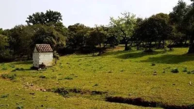 Rustic house in La Nava photo 42