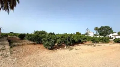Chalet in Ondara photo 36
