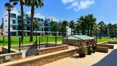 Apartment in Guardamar del Segura photo 46