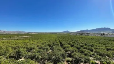 Chalet in Murcia Capital photo 2
