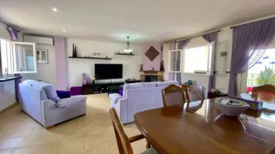 Chalet in Algorfa photo 17