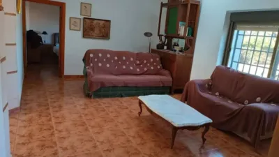 Chalet in Yecla photo 10