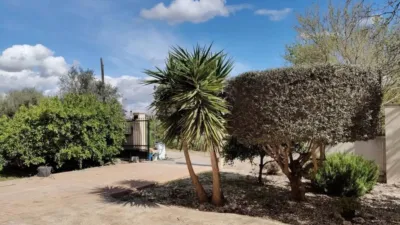 Rustic house in Murcia Capital photo 16