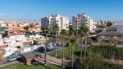 Pis - Vista 2