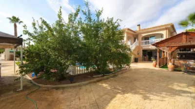 Chalet in Busot photo 7