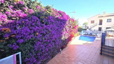 Chalet in Algorfa photo 42