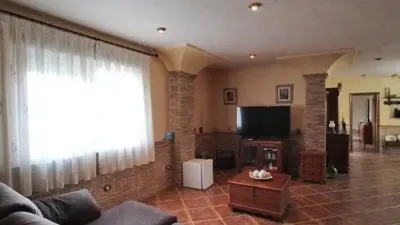 Chalet in Formentera del Segura photo 13