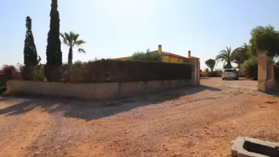 Rustic house in Albatera photo 35