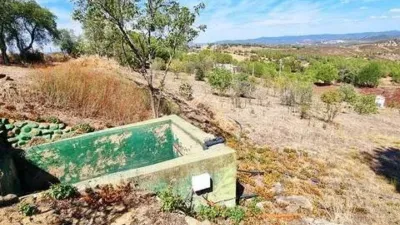 Rustic property in El Campillo photo 51