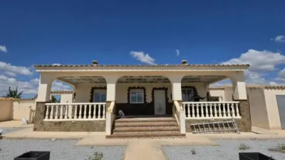 Chalet in Alcira photo 18