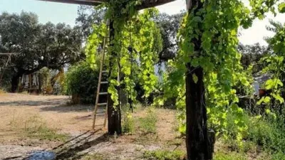 Rustic house in La Nava photo 13