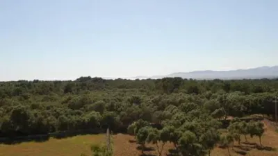 Rustic house in Algaida photo 21