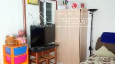 Apartment in Moriles photo 18