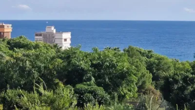 Apartment in Benidorm photo 10