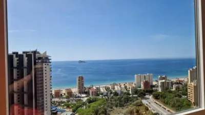 Apartment in Benidorm photo 12