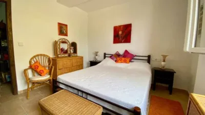 Chalet in Algorfa photo 44