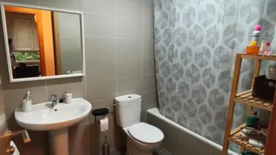 Apartment in Valle de Mena photo 23