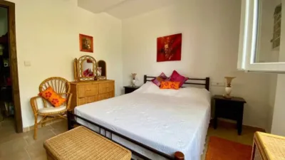 Chalet in Algorfa photo 47