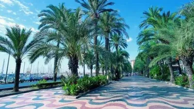 Apartment in Playa del Arenal Bol-Playa del Cantal Roig photo 22