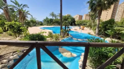 Apartment in Benidorm photo 5