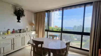 Apartment in Benidorm photo 6