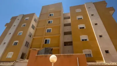 Apartment in Guardamar del Segura photo 31