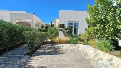 Chalet in Algorfa photo 40