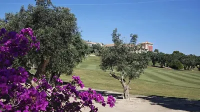 Chalet in Algorfa photo 33