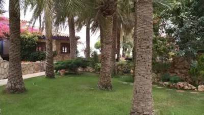 Rustic House in Calpe - Calp photo 39