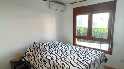 Chalet in Algorfa photo 18